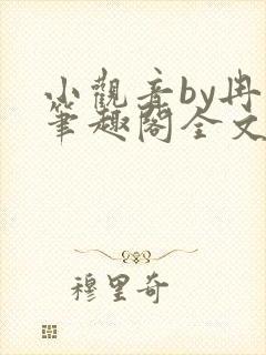 小观音by冉尔笔趣阁全文阅读封面