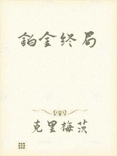 铂金终局