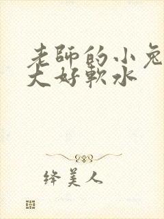 老师的小兔子好大好软水