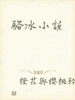 骆冰小说