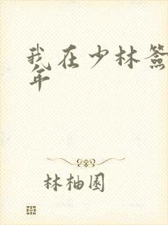 我在少林签到万年封面