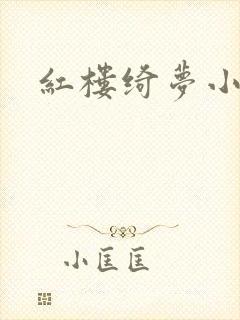 红楼绮梦小说