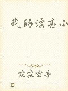 我的漂亮小后妈封面