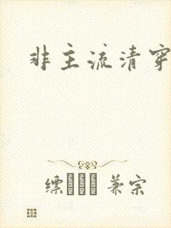 非主流清穿