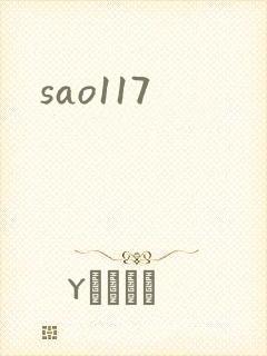 sao117封面
