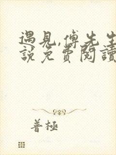 遇见,傅先生小说免费阅读封面