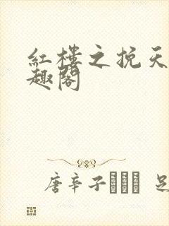 红楼之挽天倾笔趣阁