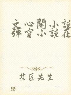 文心阁小说_无弹窗小说在线免费阅读