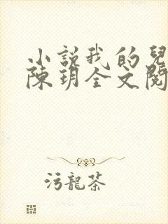小说我的儿媳妇陈玥全文阅读