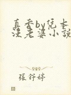 真香by凭本事没老婆小说免费阅读