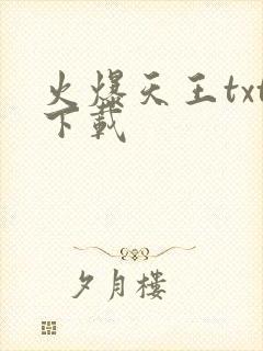 火爆天王txt下载封面