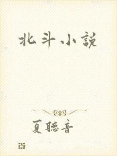 北斗小说
