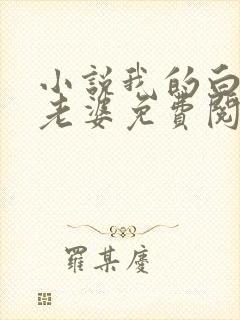 小说我的白富美老婆免费阅读原文