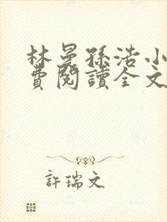 林曼孙浩小说免费阅读全文最新章节