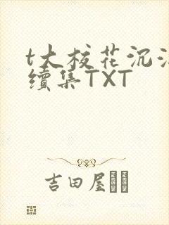 t大校花沉浮录续集TXT