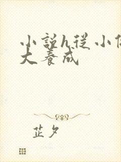 小说h从小做到大养成封面