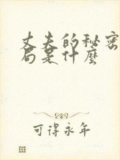 丈夫的秘密大结局是什么