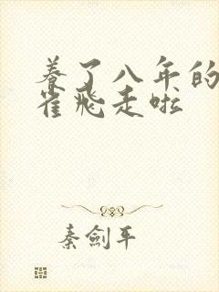 养了八年的金丝雀飞走啦