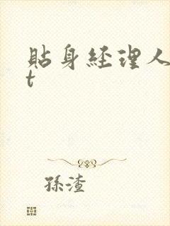 贴身经理人txt
