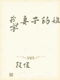我妻子的姐姐中字