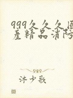 999久久久国产精品消防器材