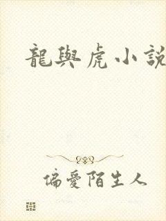 龙与虎小说