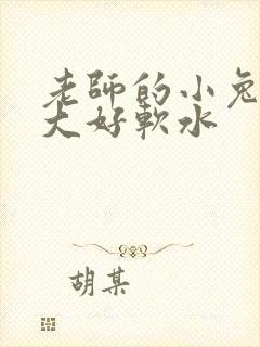 老师的小兔子好大好软水封面