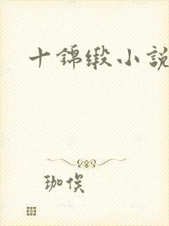 十锦缎小说封面