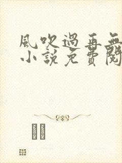 风吹过再无归期小说免费阅读封面