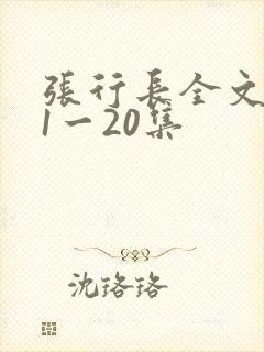 张行长全文阅读1一20集