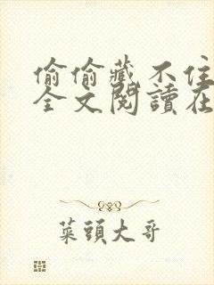 偷偷藏不住小说全文阅读在线封面
