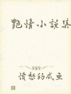 艳情小说集封面