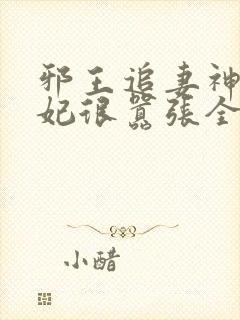 邪王追妻神医狂妃很嚣张全文免费