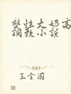 双性大奶高嗨黄调教小说