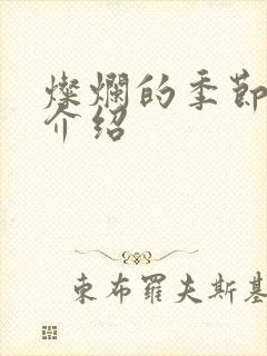 灿烂的季节剧情介绍