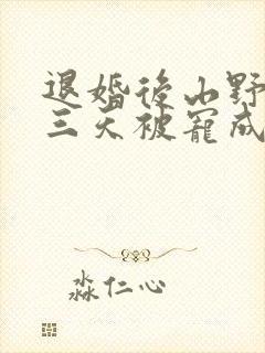 退婚后山野糙汉三天被宠成宝小说
