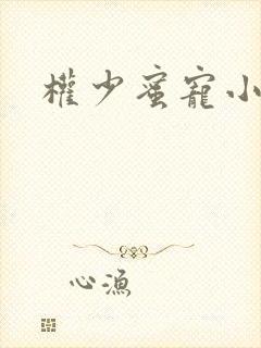 权少蜜宠小娇妻