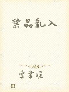 禁品乱入