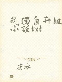 我独自升级原著小说txt封面