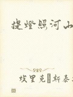 提灯照河山封面
