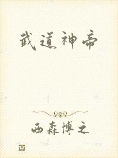 武道神帝