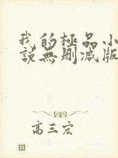我的极品小姨小说无删减版封面
