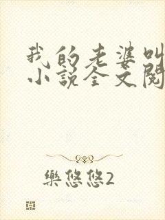 我的老婆叫武艳小说全文阅读