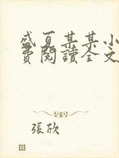 盛夏某某小说免费阅读全文