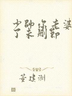 少帅你老婆又跑了未删节