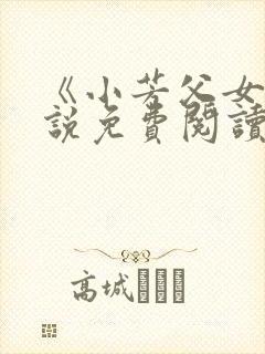 《小芳父女》小说免费阅读封面