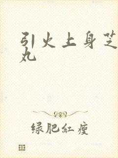 引火上身芝麻糖丸