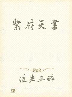 紫府天书