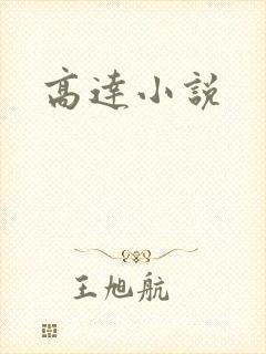 高达小说封面