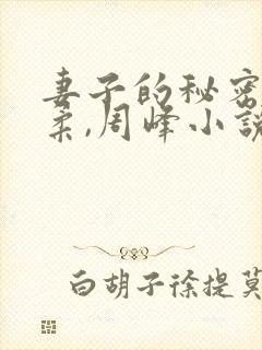 妻子的秘密,苏柔,周峰小说免费阅读